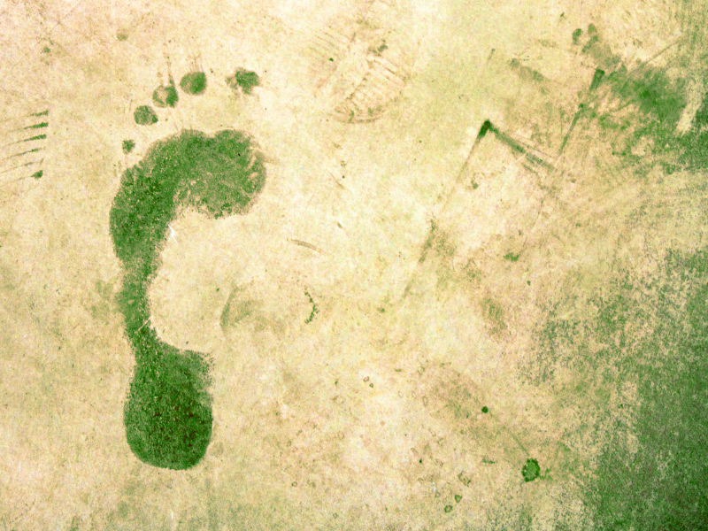 GroupAlarm Screenshot